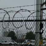 barbed wire barbed wire