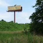 Kudzu, billboard, Raleigh Kudzu, billboard, Raleigh