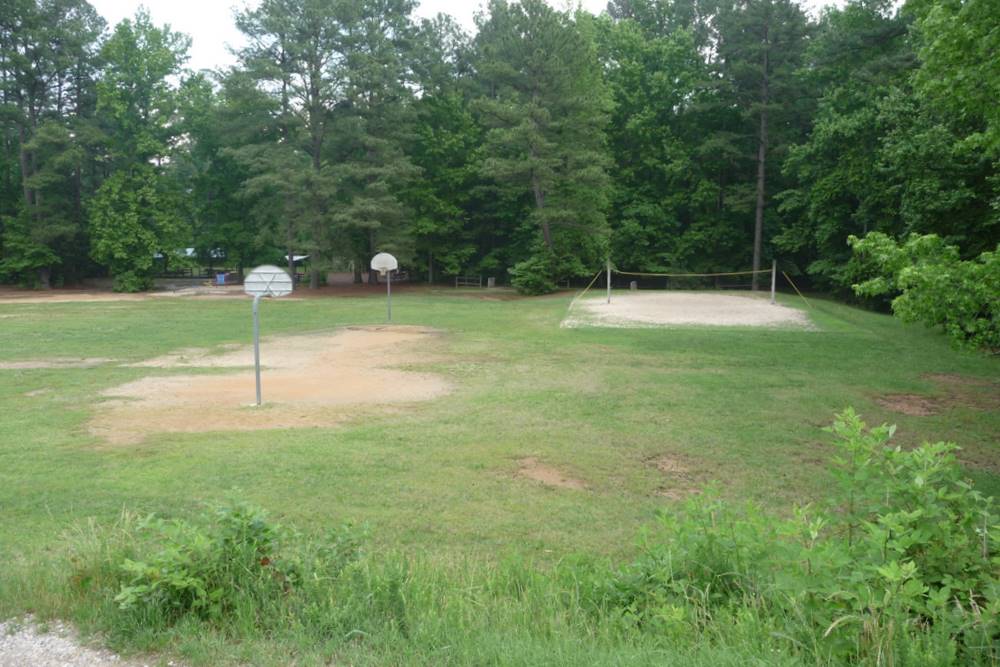 Durant Nature Park Get to Know a Park