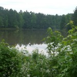 upper lake