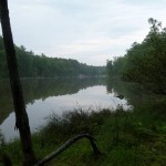 lower lake
