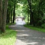 shady trail shady trail