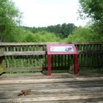 wetlands wetlands