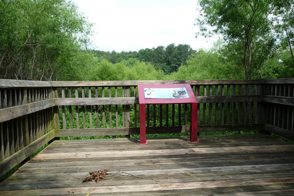 lower walnut creek trail get to know a park water works raleigh