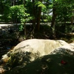 Whale Rocks