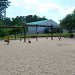 swings swings