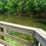 pond pond