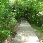trail trail
