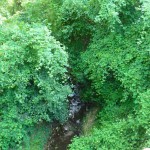 border creek