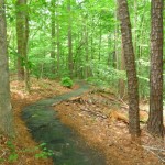 paved trail