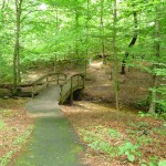 bridge / creek