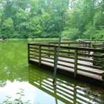 pond