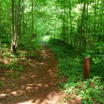 trail