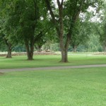Pecan Grove / Shelter