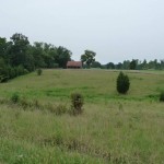 Field / Restored Farm Building