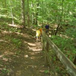 hiking
