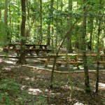 picnic tables - in the shade!