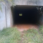 tunnel!