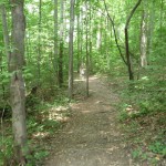 trail