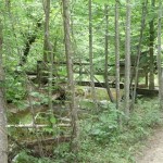bridge