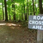 road crossing!