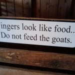 dont' feed the goats