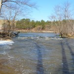 Neuse River Neuse River