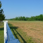 field
