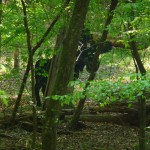 moose? not.