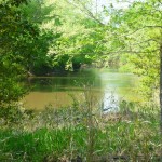 river