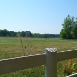 field