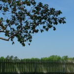 picket fence