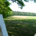 field