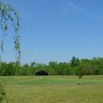 field