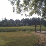 swings