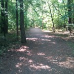 trail to Point Outlook