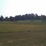 field