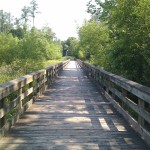 bridge