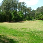 Field Near Picnic Shelter