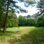 Field