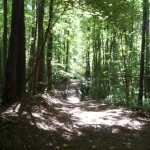 path from Rainwater Rd to park