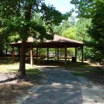 picnic gazebo