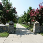 Cooke Street Greenway