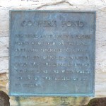 plaque