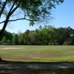 field field
