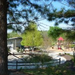 playground playground