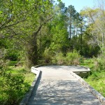 wetlands wetlands