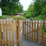 Ellen Mordecai Garden