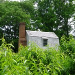 Johnson's birthplace