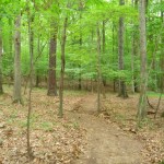 hiking trail
